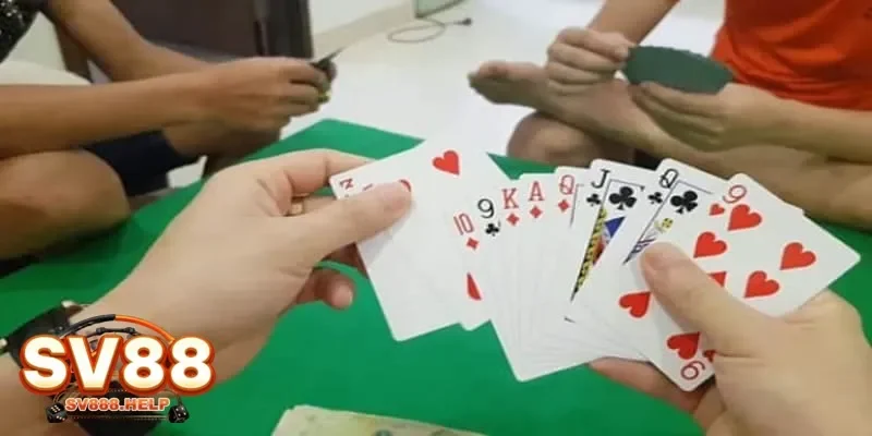Cách Chơi Bài Câu Cá Đơn Giản Mà Cuốn Hút Người Mới